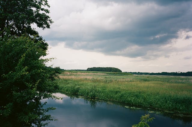 Wetland assessment services